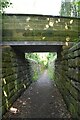 Bridge over sunken path