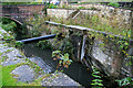 Derelict lock on the Thames and Severn Canal