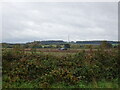 Farmland View