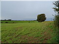 TF8831 : Crop field off New Road near Sculthorpe by JThomas