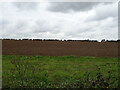 TF9541 : Field near Chalk Hill Farm by JThomas