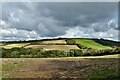 Lostwithiel: Scene from a muddy farm track