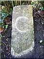 Old Boundary Marker