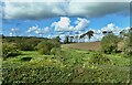 Contrast in land use on the outskirts of Downpatrick