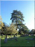 SU2771 : Holy Cross, Ramsbury: churchyard (a) by Basher Eyre
