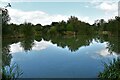 Barrow Street, The Islands Carp Fishery: The lake