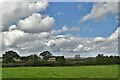 Huntingford: Cattle grazing land at Bloomer