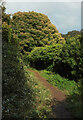 Footpath to Berry Head Farm