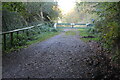 Gate on forest road, Cwm Gwyddon