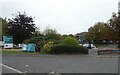 Bushes screening car park for Winterbourne Hospital, Dorchester