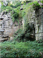 Quarry face in Beaumont Park, Huddersfield