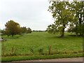 Earthworks alongside Works Lane, Barnstone