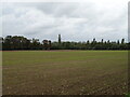 Newly planted crop field off the A148