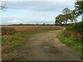 SK7534 : Farm track near Barnstone Lodge by Alan Murray-Rust