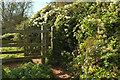 Gate on coast path