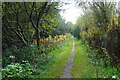 Old Railway near Smithyhillock