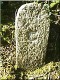 SX0875 : Old Boundary Marker by R Hanns