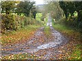 Road from Redden House