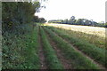 Bridleway to Lower Compton Woods