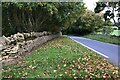 Wall on the road to Whichford