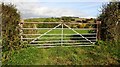 Field gateway from rural road west of Yew Tree Farm