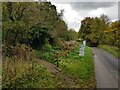 Two ways to cross Seeley Brook, Broughton Green