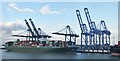 TM2732 : Felixstowe - Container Port by Colin Smith