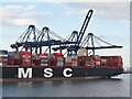 TM2732 : Felixstowe Docks - MSC Jade by Colin Smith