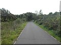 SY6780 : NCN26 cycle route on edge of Radipole Lake nature reserve by David Smith