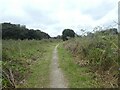 Footpath in Radipole Lake nature reserve