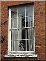 Sash window with occupant