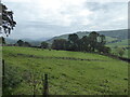 View in the Clun valley near Newcastle on Clun