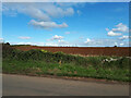 Lonely barn (remains of)