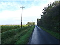 Straight fen road near Brightside