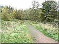 NU0724 : Path at Hepburn Wood by Oliver Dixon
