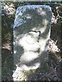 Old Boundary Marker