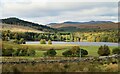 View towards the loch at Finnart