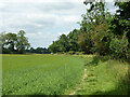 Footpath towards Blackbirds Farm