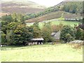 House at Linhope