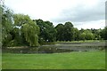 Pond in Ruthin Park