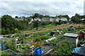 Allotments in Denbigh