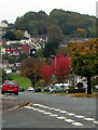 ST3091 : October 2020 colours, Rowan Way, Malpas, Newport by Jaggery