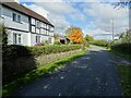 Cottage on Netherley Lane