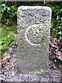 SX3377 : Old Boundary Marker by R Hanns