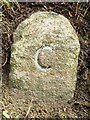 Old Boundary Marker