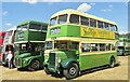 SU7240 : Alton Bus Rally 2018 - Southdown by Colin Smith
