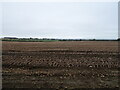 Potato field off Melmerby Green Lane