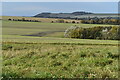 On the eastern ridge of Etchilhampton Hill