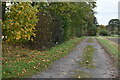 Footpath on track east of Wedhampton