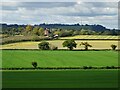 View to Dobshill Farm